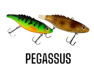 PEGASSUS