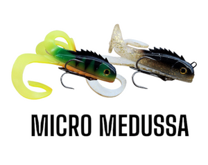 MEDUSSA MICRO