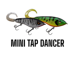 MINI TAP DANCER