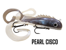 MEDUSSA REGULAR
