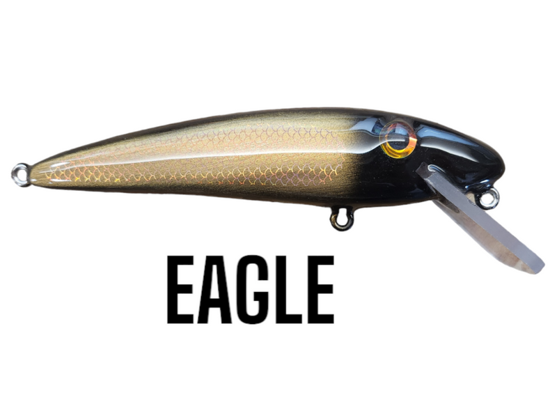 Photoroom-20240222_093619_800x